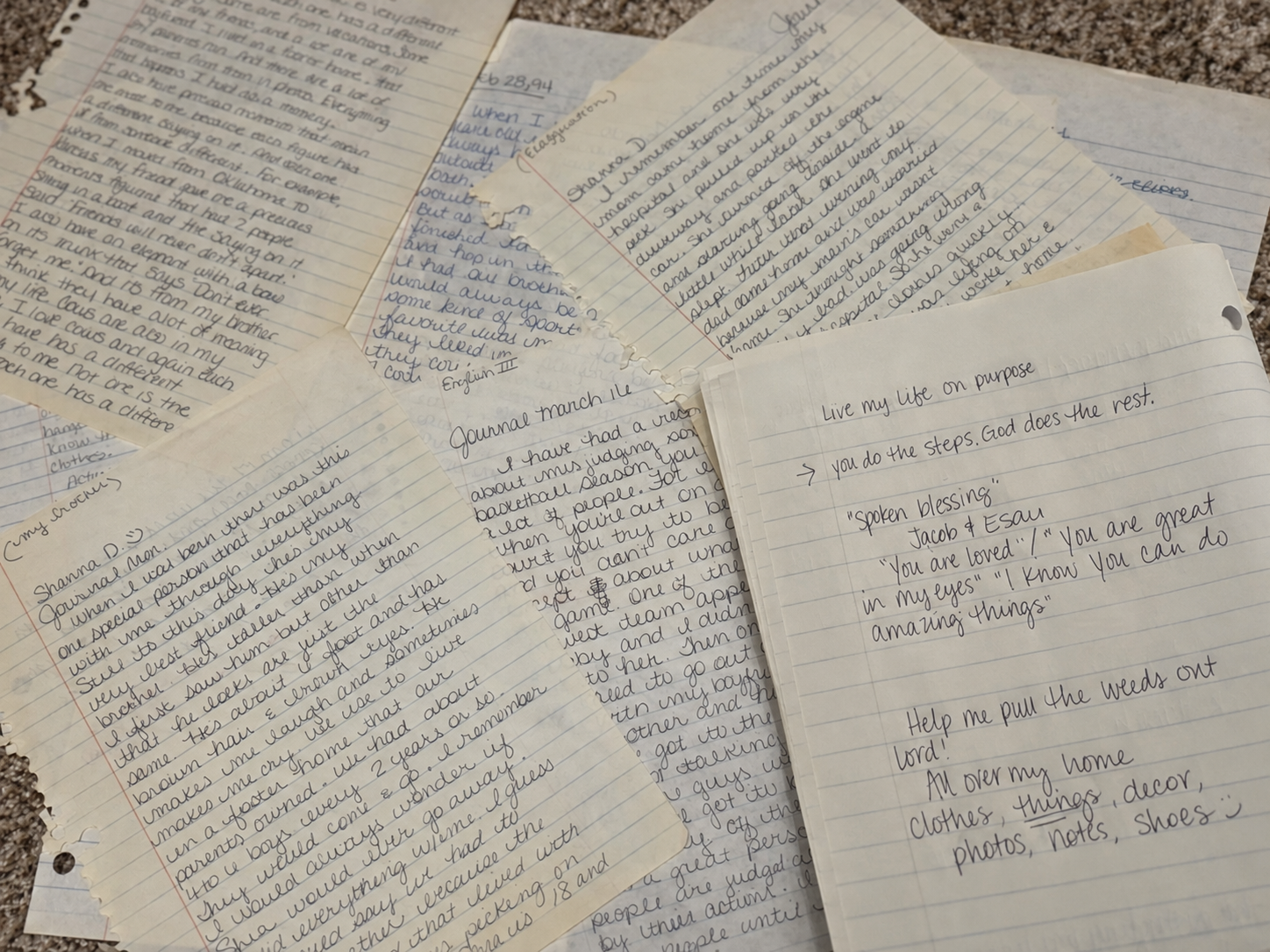 Shanna's original photograph of handwritten journal pages from that period