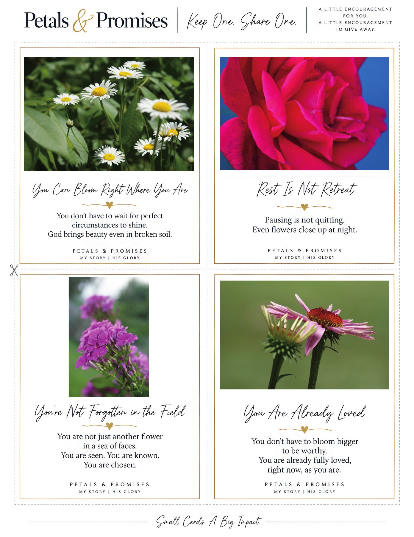 Petals & Promises, four encouragement cards with original flower photography