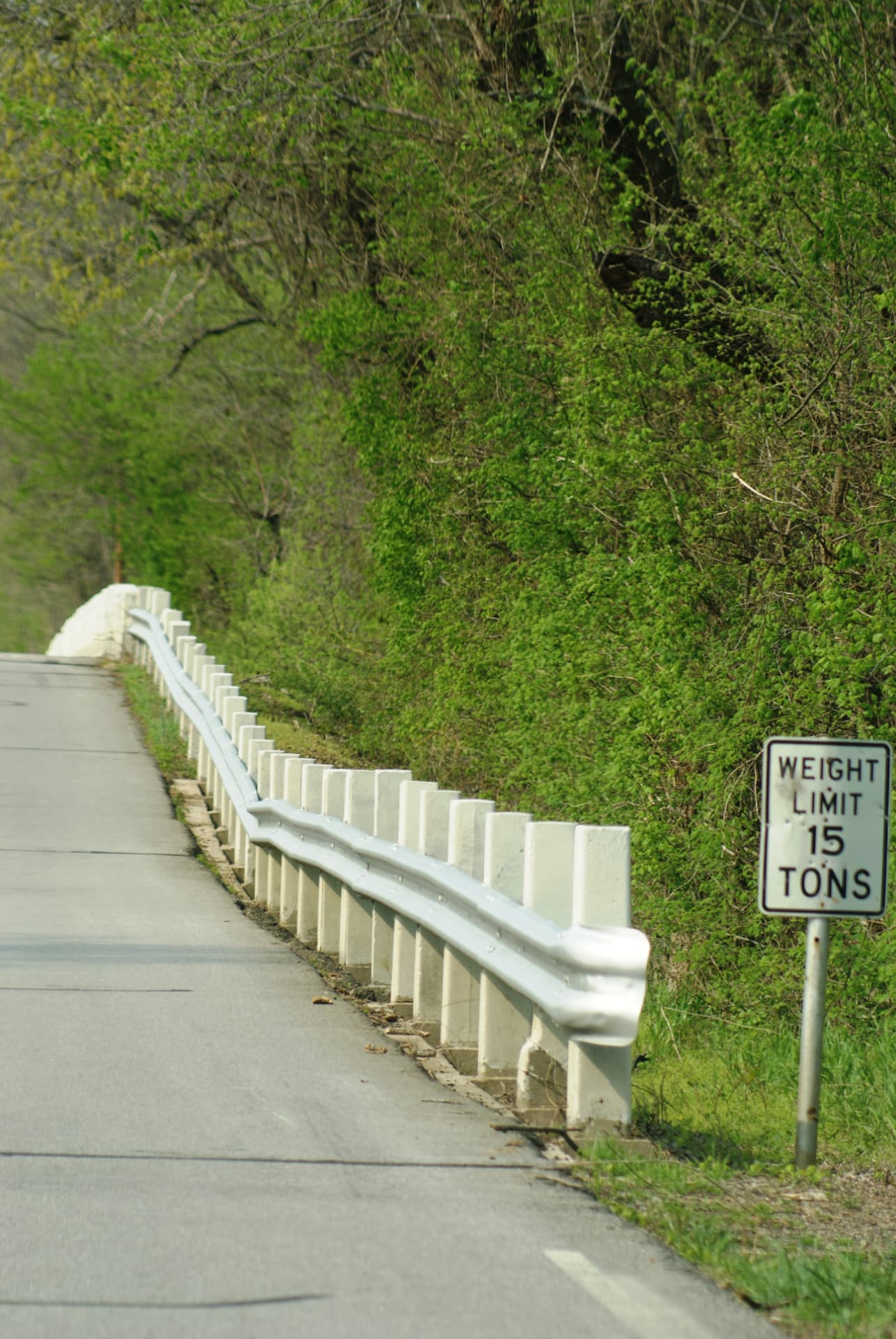 Shanna D. Olds' photograph of a road beside a white guardrail and a sign reading WEIGHT LIMIT 15 TONS.