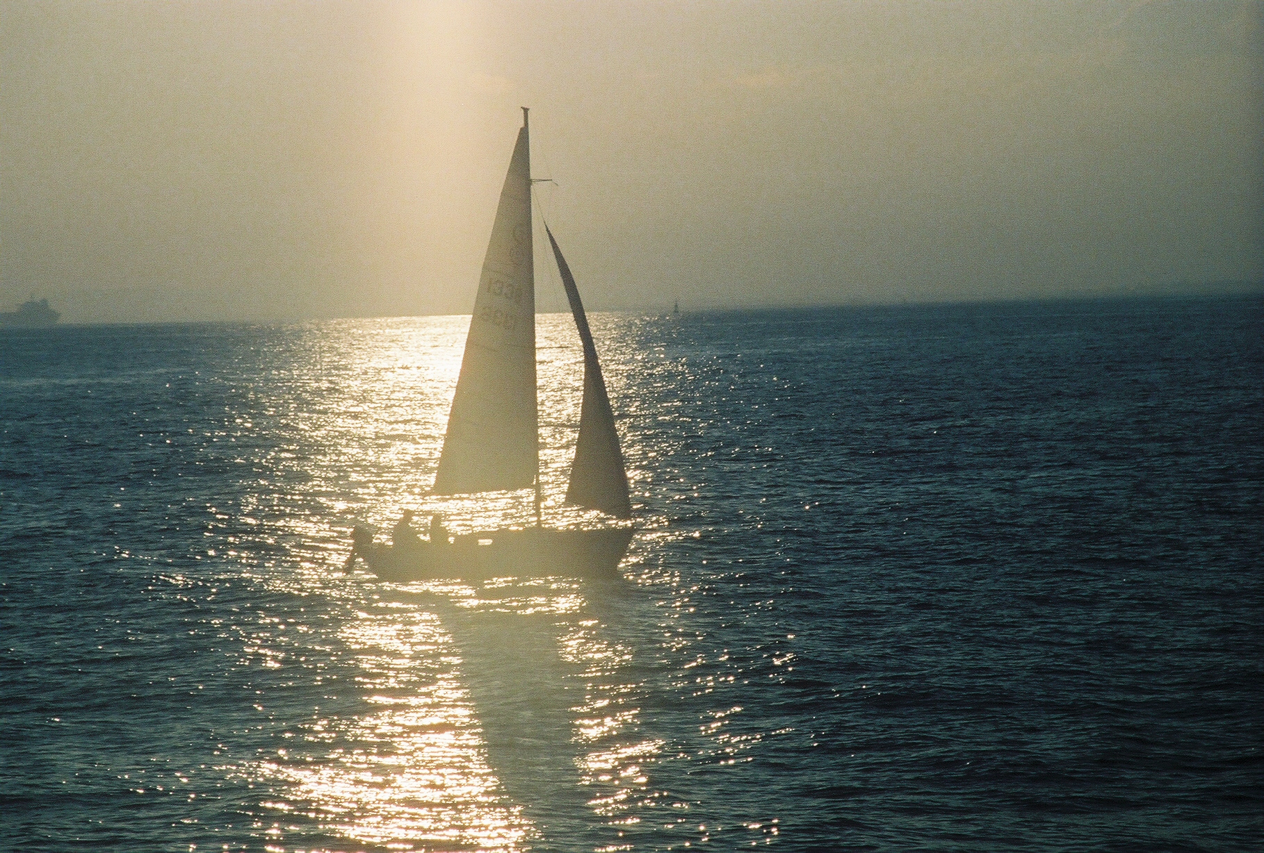 Shanna's early photograph of a small sailboat crossing sunlit water